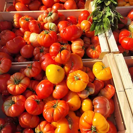 Sunny Casa de Férias