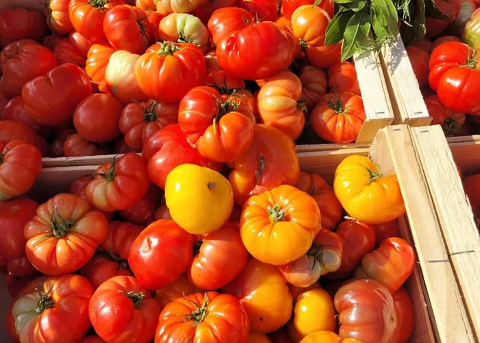 Sunny Casa de Férias